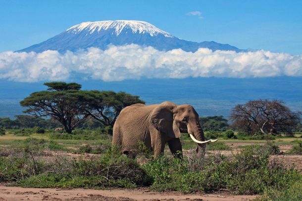 Килиманджаро (Танзания)