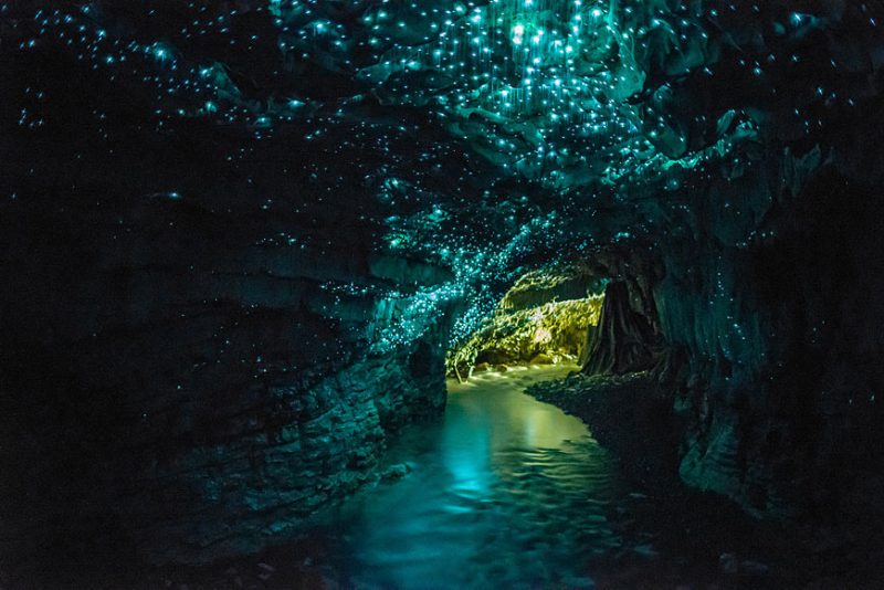 Новозеландская пещера «Waitomo Glowworm Cave»